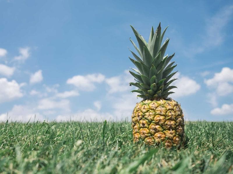 Công an xã Tân Lập phối hợp tuyên truyền pháp luật, hướng dẫn kỹ năng lái xe an toàn - Công an tỉnh Lâm Đồng