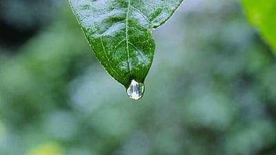 Công an Quảng Ninh triệt phá đường dây lừa đảo chiếm đoạt hơn 1.000 tỉ đồng - Laodong.vn