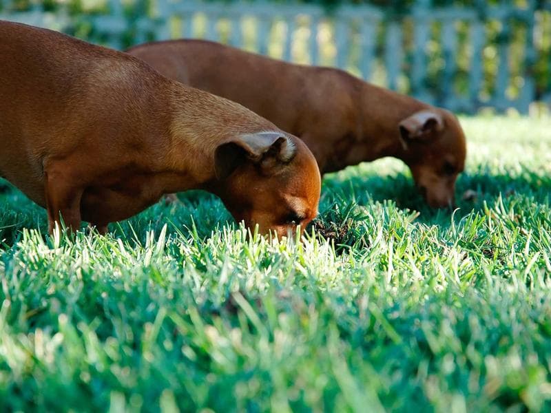 Cảnh báo thủ đoạn lừa đảo bán sách giáo khoa trên mạng - Báo Hải quân Việt Nam
