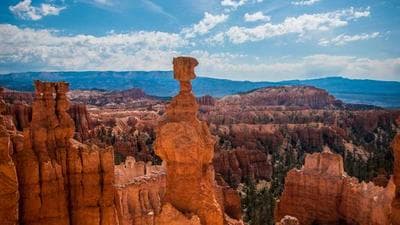 Giả doanh nhân, phụ nữ trẻ thành đạt để lừa đảo xuyên quốc gia - Laodong.vn