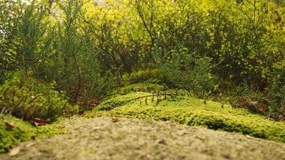 AI đang làm gia tăng mức độ rủi ro an ninh mạng tại Việt Nam - Vietnam.vn