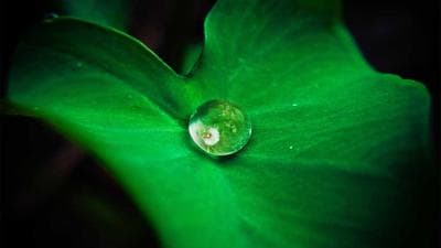Công an xã Tân Hưng phối hợp Hội liên hiệp phụ nữ Việt Nam xã Tân Hưng tổ chức Hội nghị tuyên truyền phòng ngừa tội phạm lừa đảo chiếm đoạt tài sản trên không gian mạng - Công an Hưng Yên