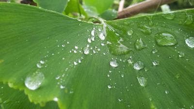 Triệt phá băng nhóm lừa đảo đầu tư vàng ảo qua ứng dụng Phantom - Cổng thông tin đài tiếng nói Việt Nam