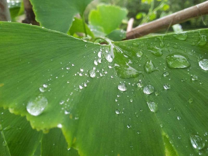 Triệt phá băng nhóm lừa đảo đầu tư vàng ảo qua ứng dụng Phantom - Cổng thông tin đài tiếng nói Việt Nam