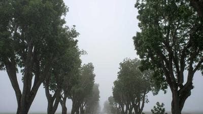 Phường Hồng An phổ biến kỹ năng số, an toàn thông tin, nhận diện và phòng chống lừa đảo trên không gian mạng - Haiphong.gov.vn